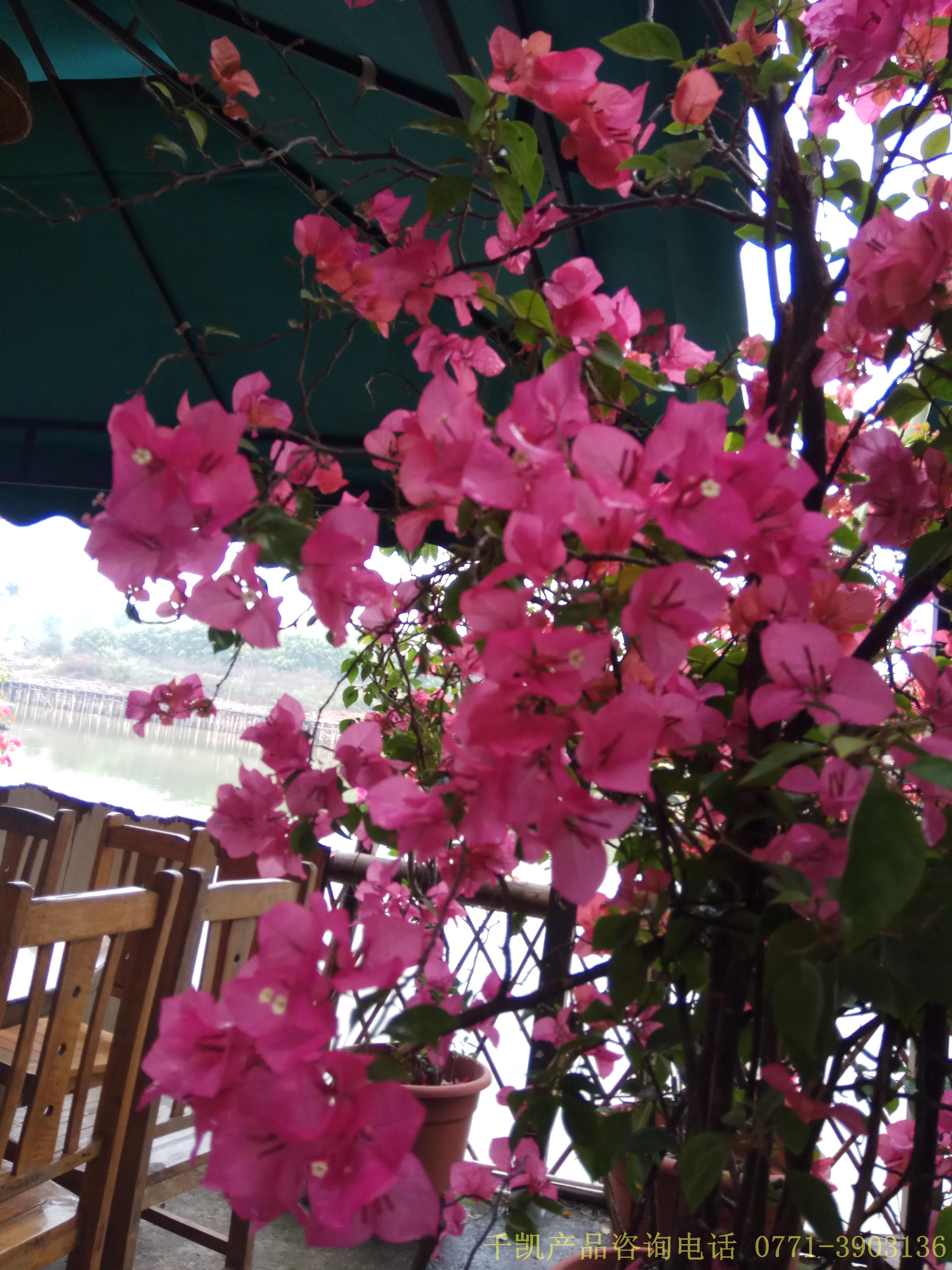 南寧不銹鋼水箱廠家千凱之燒烤活動，咨詢0771-3903136